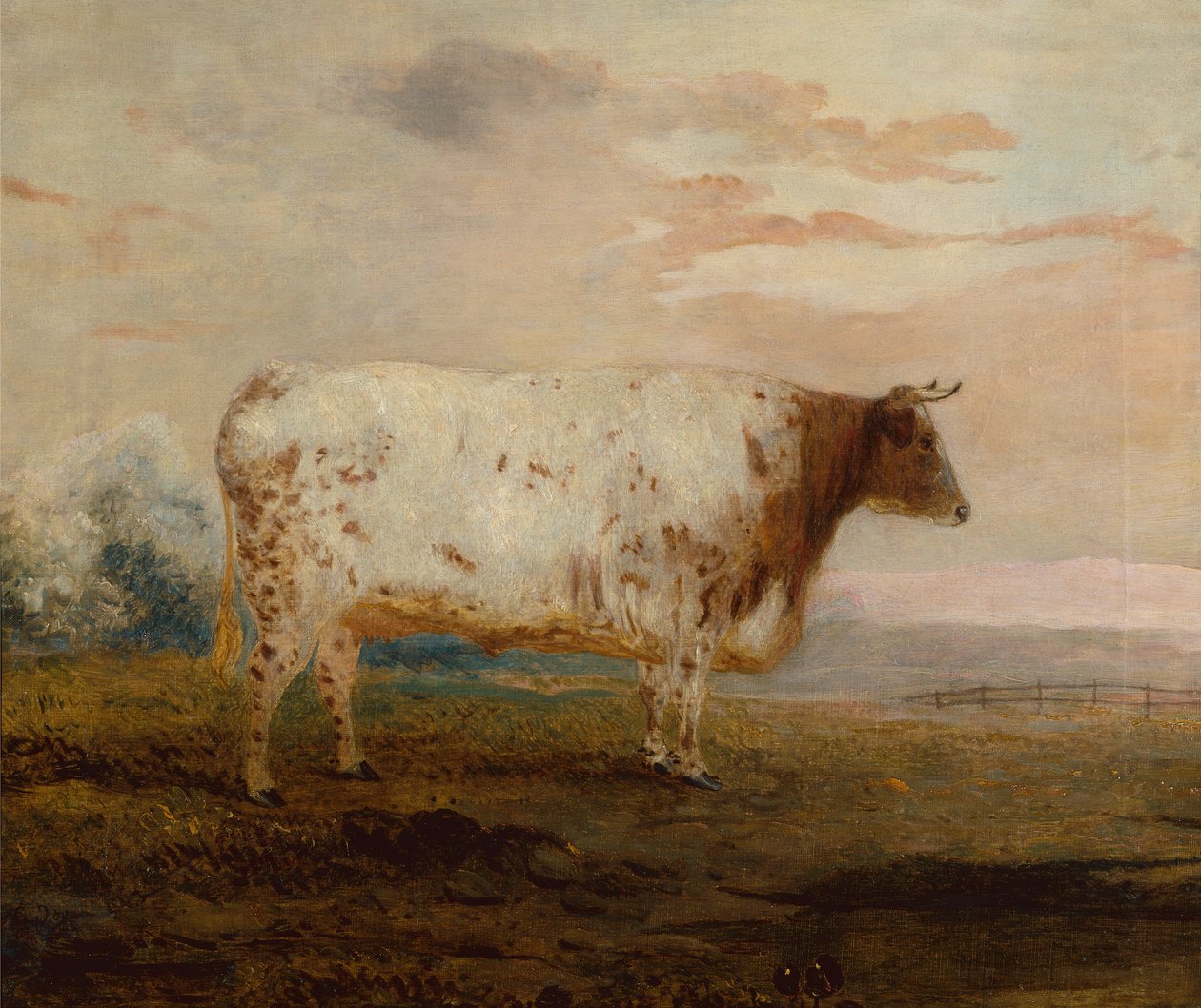 Juno, Vörös, rövid szarvú tehén kiterjedt tájon (olaj) alkotó: George Garrard