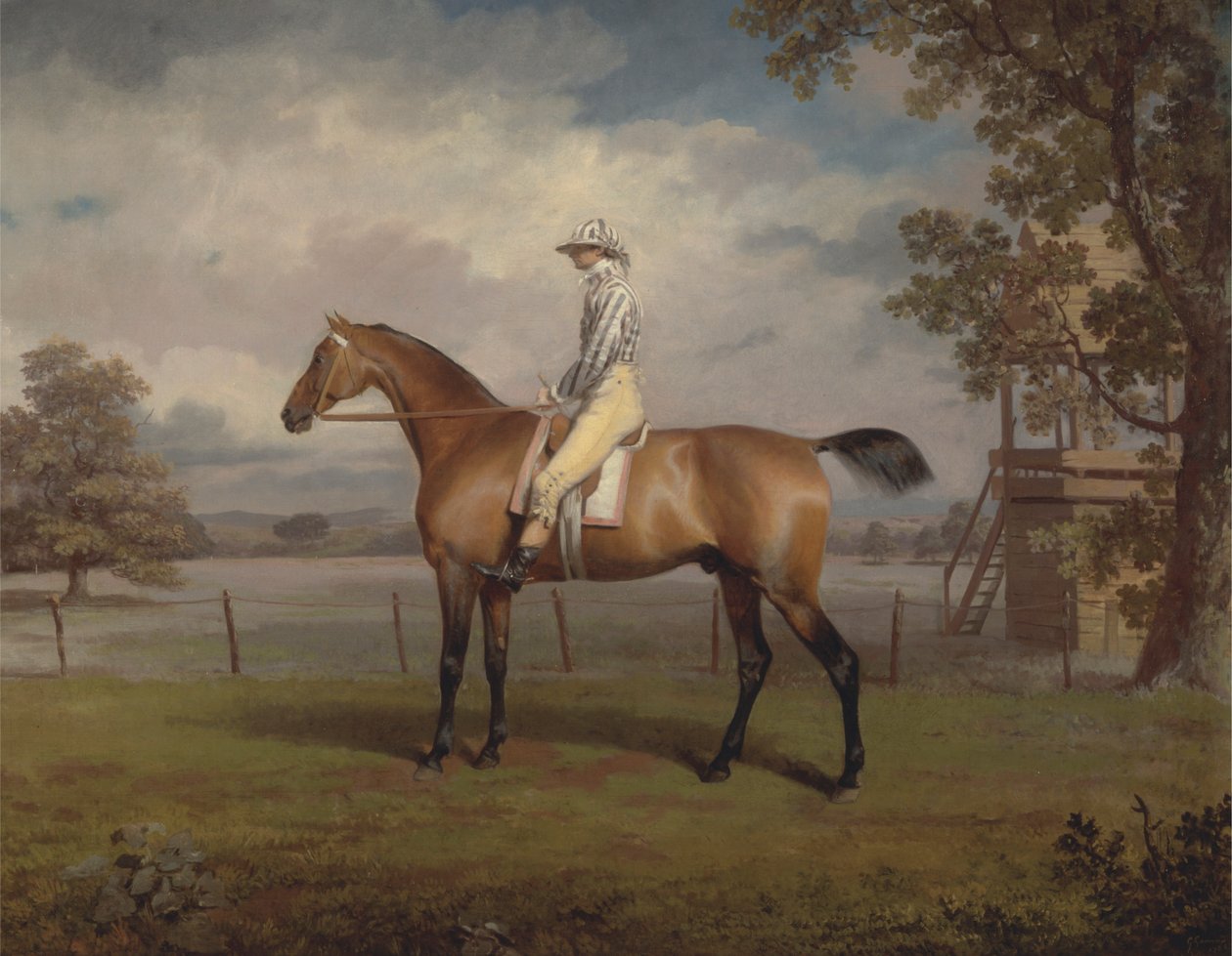 Versenyló portréja, esetleg álruhában, Hamilton herceg tulajdona, Jockey Up-al alkotó: George Garrard