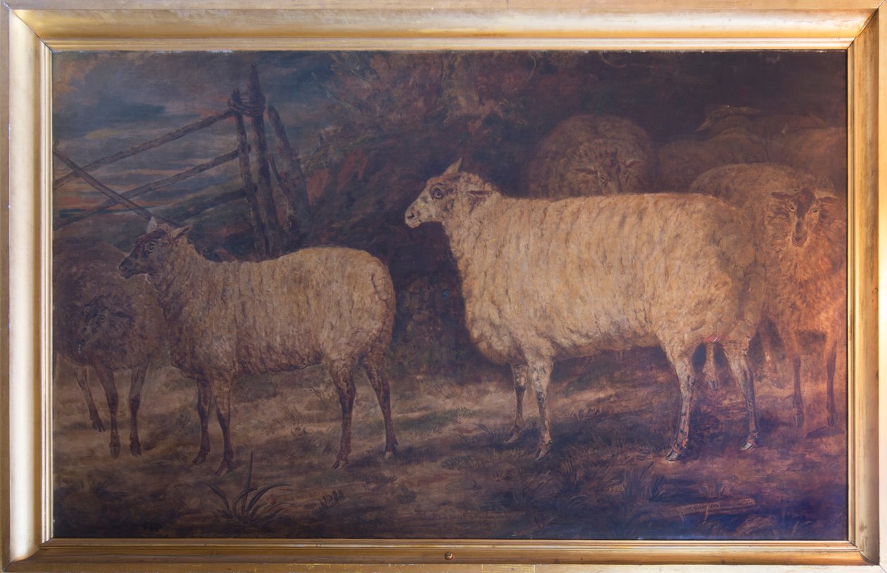 A South Down birkafajták fejlesztése a norfolki Holkhamben, 1793-1807 alkotó: George Garrard