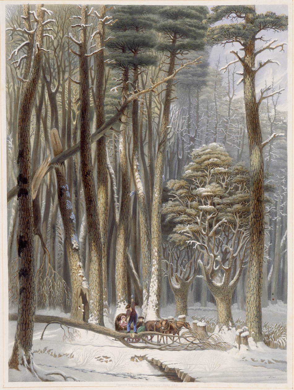 Tél, akadályozott utazók egy fenyőerdőben, a Harveys Scenes of the Primitive Forest of America, 1841-ből (kézzel színezett akvatinta) alkotó: George Harvey