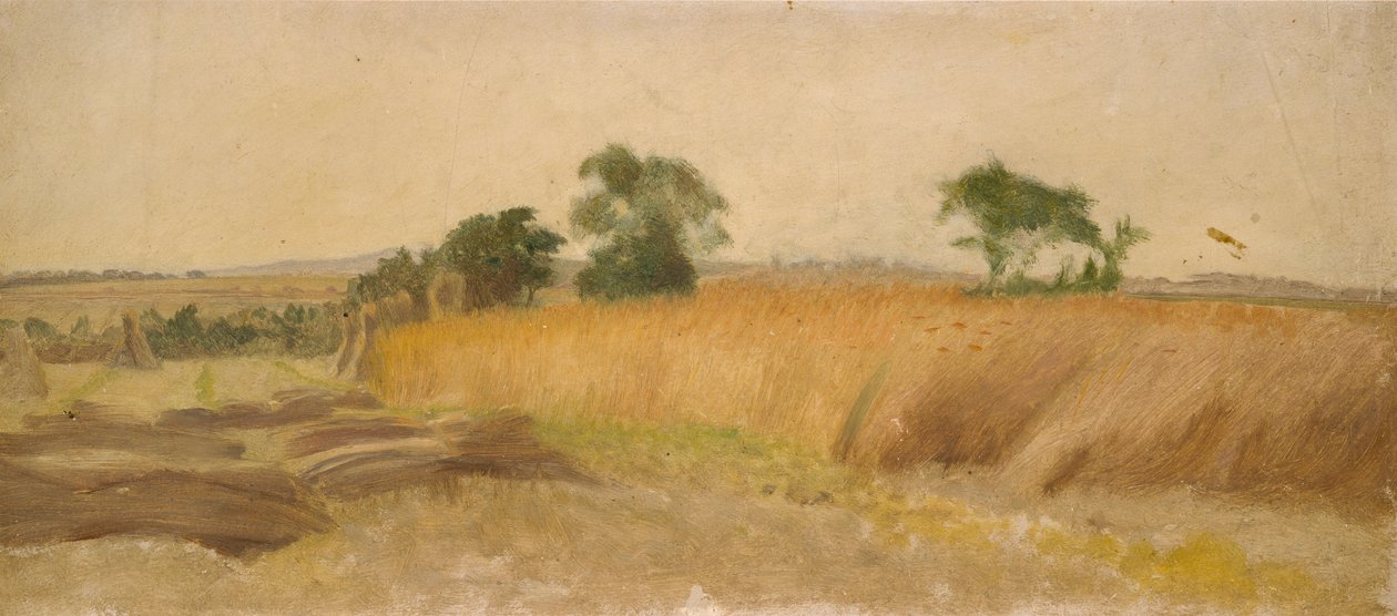Tanulmány egy kukoricatábláról, 19. század közepe alkotó: George Heming Mason