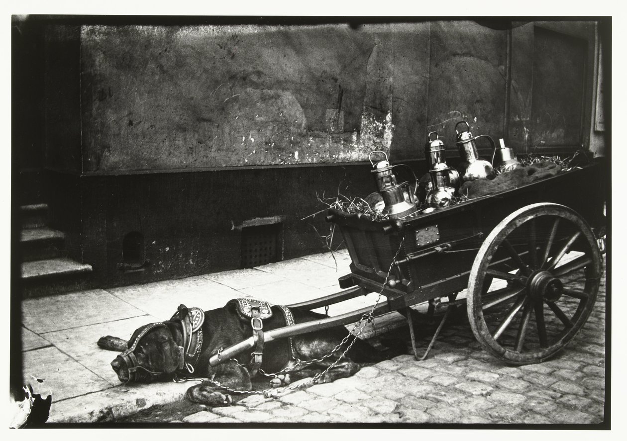 Buszos kocsi elé feszített húzó kutya alkotó: George Hendrik Breitner