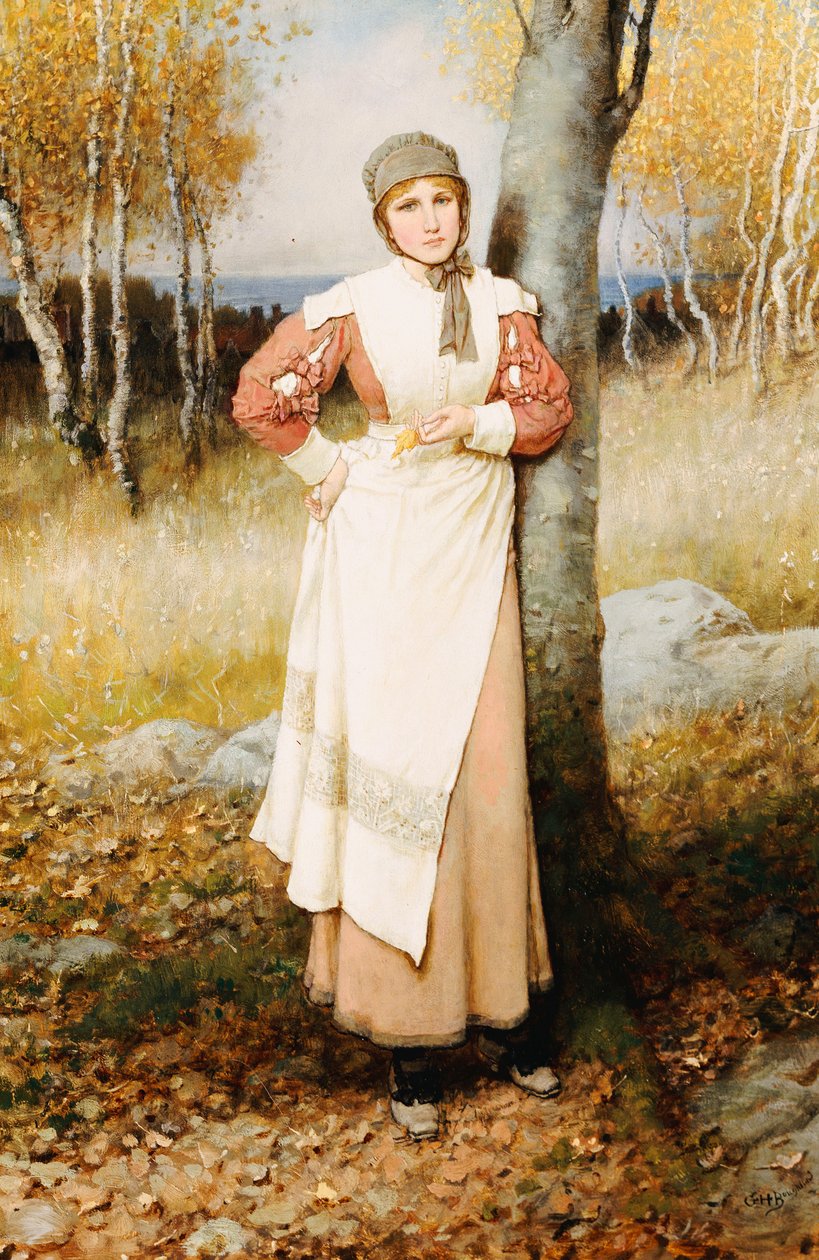 Egy rózsa Új-Angliában alkotó: George Henry Boughton