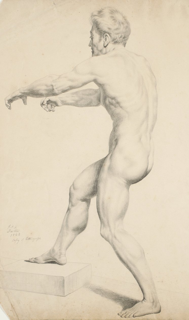 Cím nélkül – Litográfiáról másolt férfi akt, 1842 (grafit szőtt papíron) alkotó: George Henry Hall