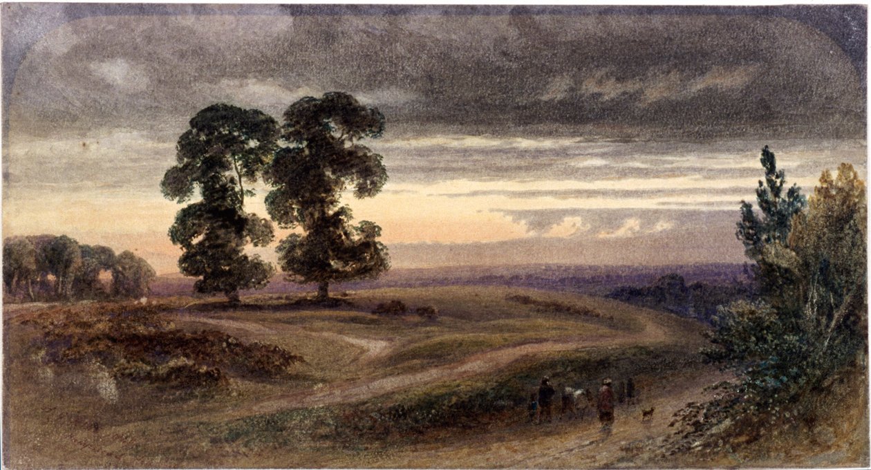 Hampstead általános képe, London, 1849 alkotó: George Henry Hine