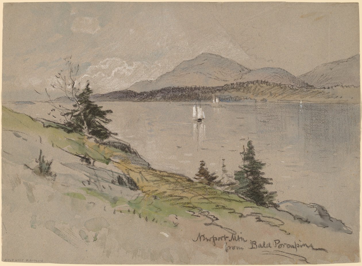 Newport Mountain a Bald Porcupine-ból alkotó: George Henry Smillie