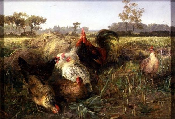 Baromfi a tarlóban alkotó: George Hickin