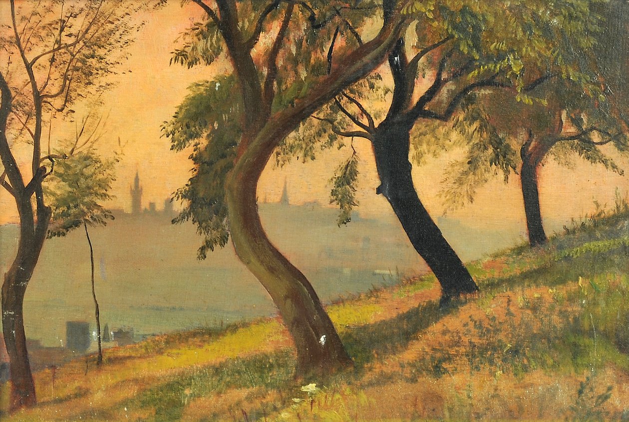 Friedberg Hessenben a Johannisberg Nauheimből, 1903 alkotó: George Howard