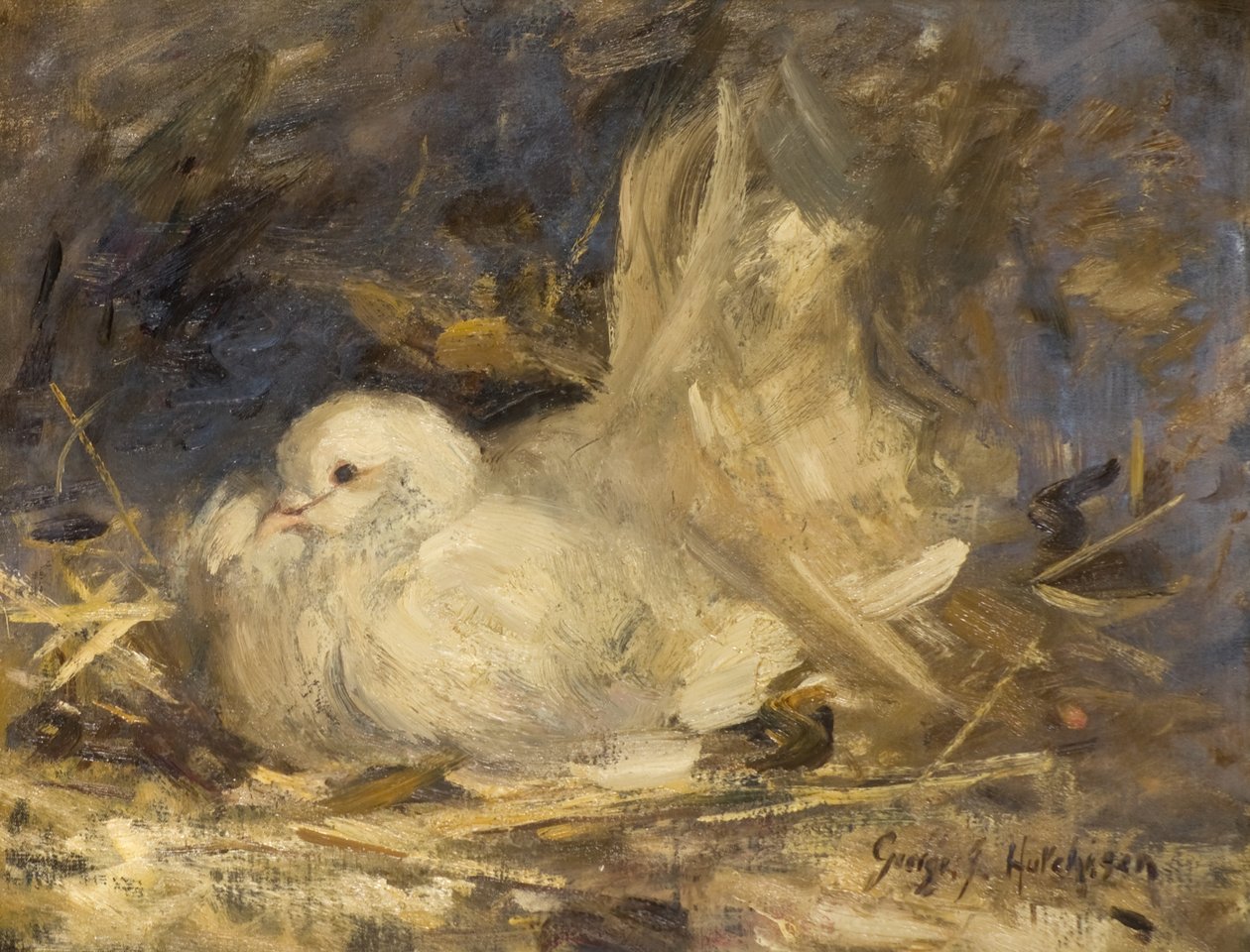 The Brooding Dove alkotó: George Jackson Hutchison