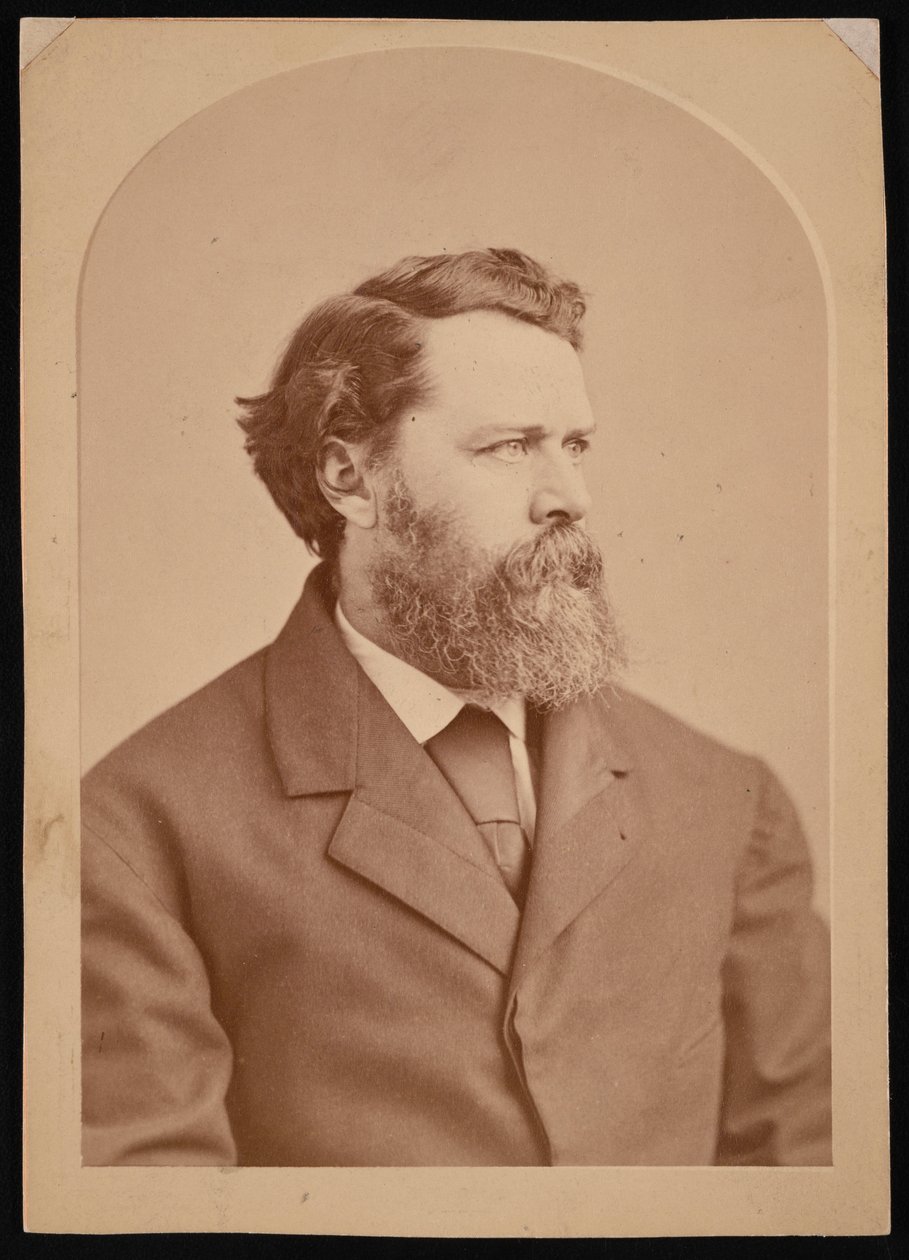Oliver Wolcott Gibbs portréja 1822-1908, 1870-1873 között. alkotó: George K Warren