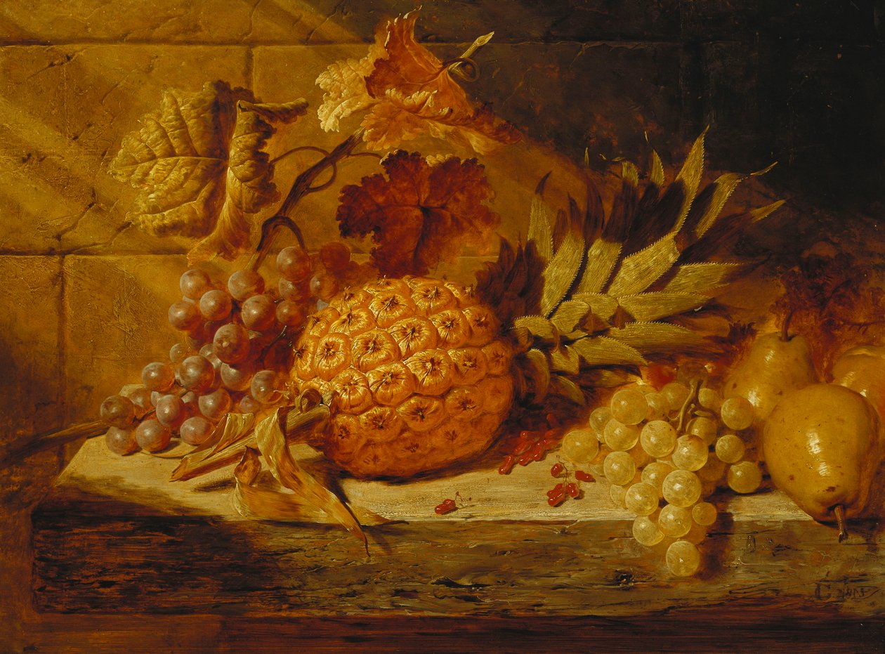 Fekete-fehér szőlő, körte, ribizli és ananász a párkányon, 1845 alkotó: George Lance