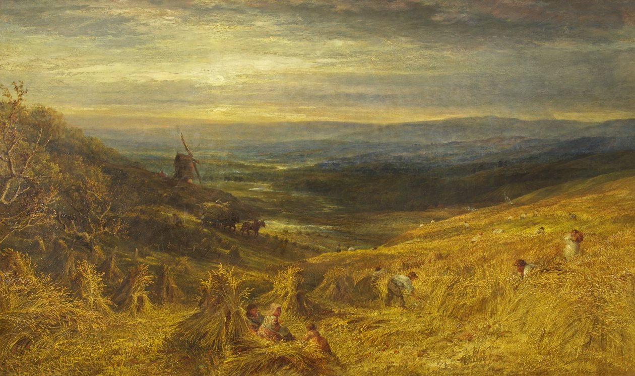 A Surrey Cornfield, 1877 körül (olaj, vászon) alkotó: George Lucas