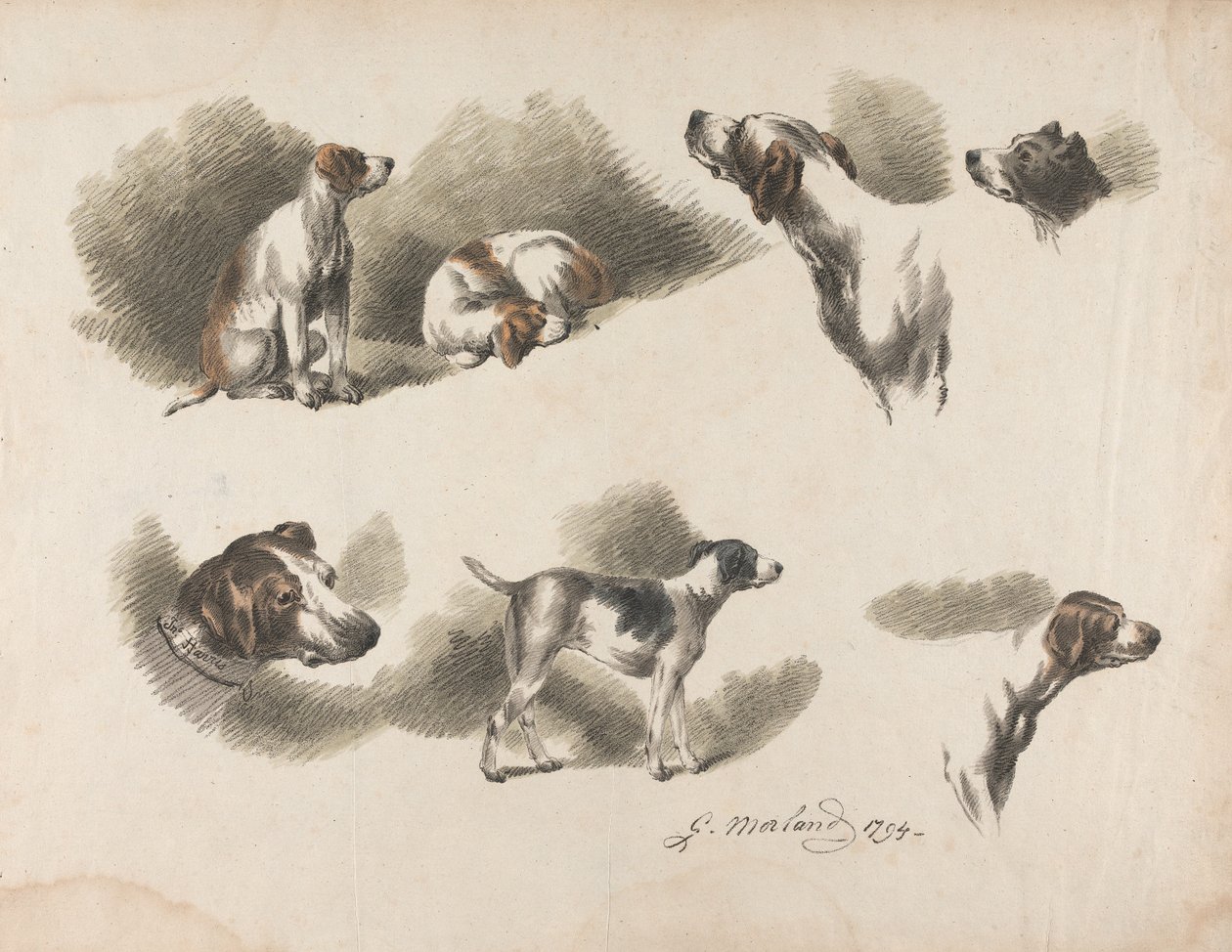 Állatok - Egy vadászkutya hét tanulmánya egy lapon. „Jno. Harris” a vadászkutya nyakörvén bal alsó részen alkotó: George Morland
