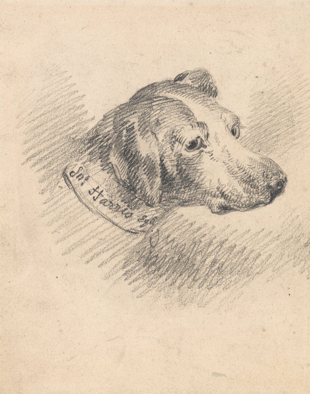 Egy kopó feje alkotó: George Morland