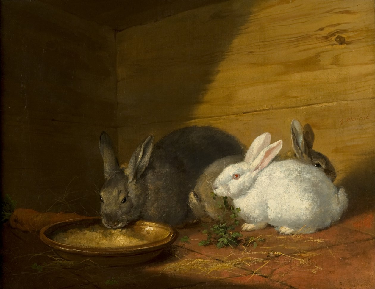 Nyulak alkotó: George Morland