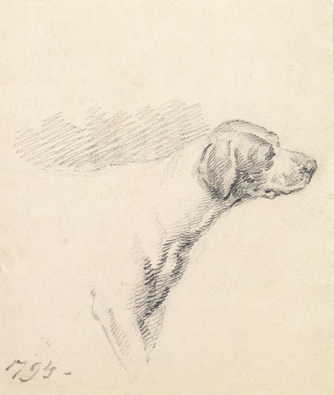 Tanulmány egy kopóról, 1794 alkotó: George Morland