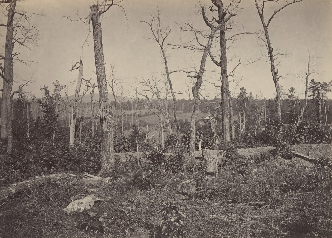 Resacca-i csatatér, Georgia, 3. szám, 1860-as évek. alkotó: George N. Barnard