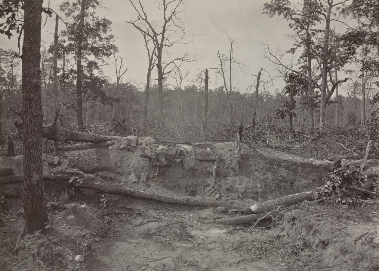 Battlefield of New Hope Church, Georgia, 2. szám, 1865-1866. alkotó: George N. Barnard
