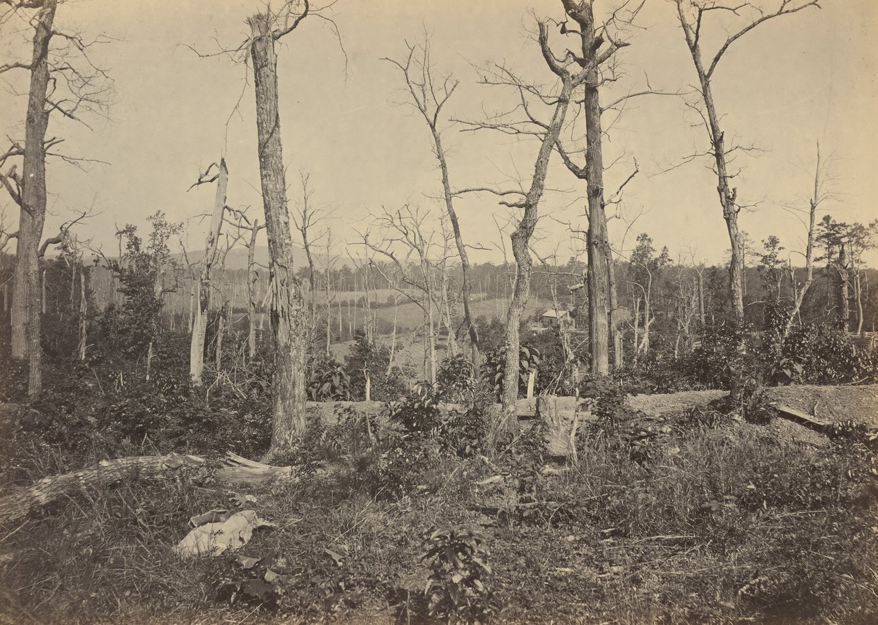 Resaca-i csatatér, Georgia, 1864.3.1864 (fénykép) alkotó: George N. Barnard