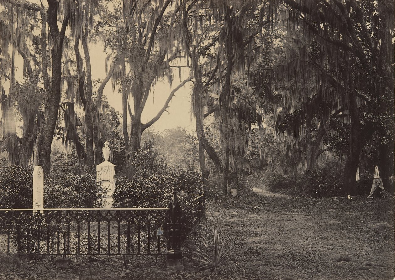 Bonaventure, Savannah, Georgia, 1860-as évek. alkotó: George N. Barnard