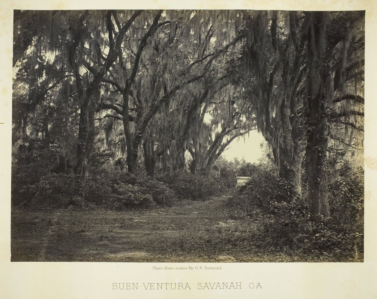 Buen-Ventura Savannah, Ga. alkotó: George N. Barnard