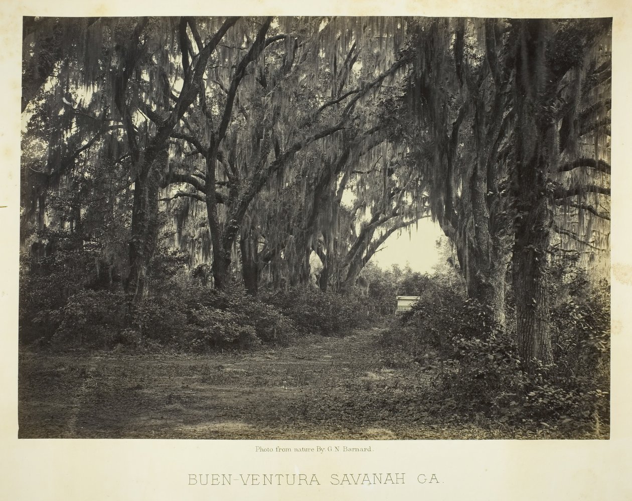 Buen-Ventura Savannah, Ga., 1866. alkotó: George N. Barnard