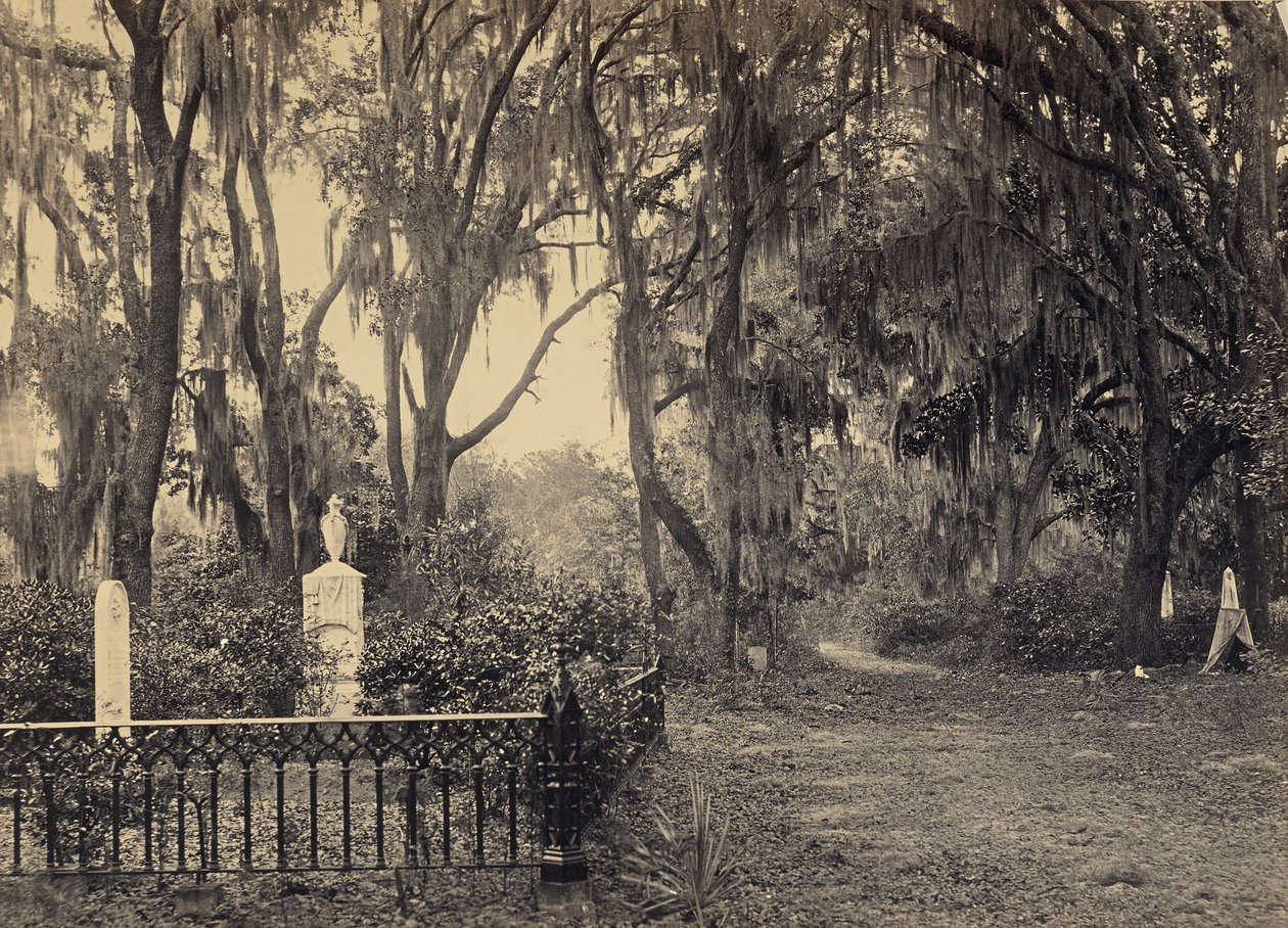 [Buen-Ventura, Savannah, Georgia] alkotó: George N. Barnard