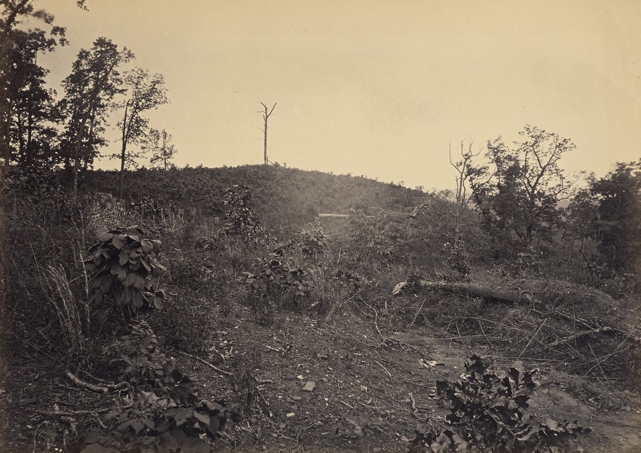 Pine Mountain alkotó: George N. Barnard