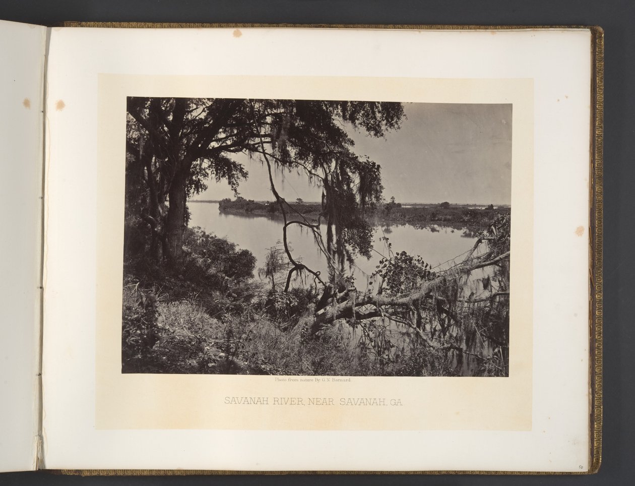 Savannah folyó, Savannah közelében, Georgia alkotó: George N. Barnard