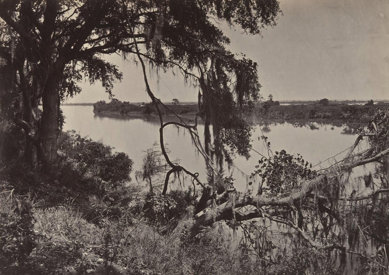 Savannah River, Savannah közelében, Georgia, 1860-as évek. alkotó: George N. Barnard