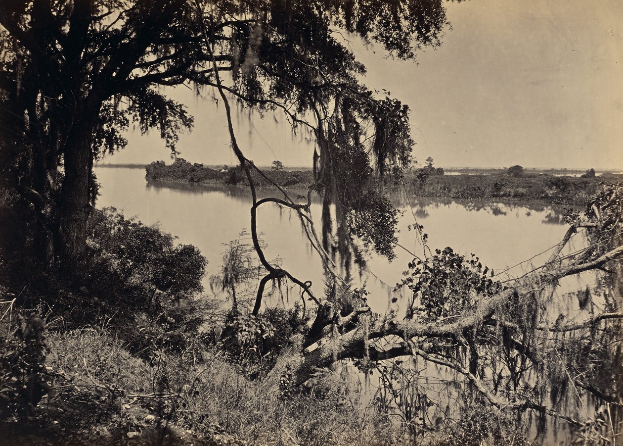 [Savannah folyó, Savannah közelében, Georgia] alkotó: George N. Barnard