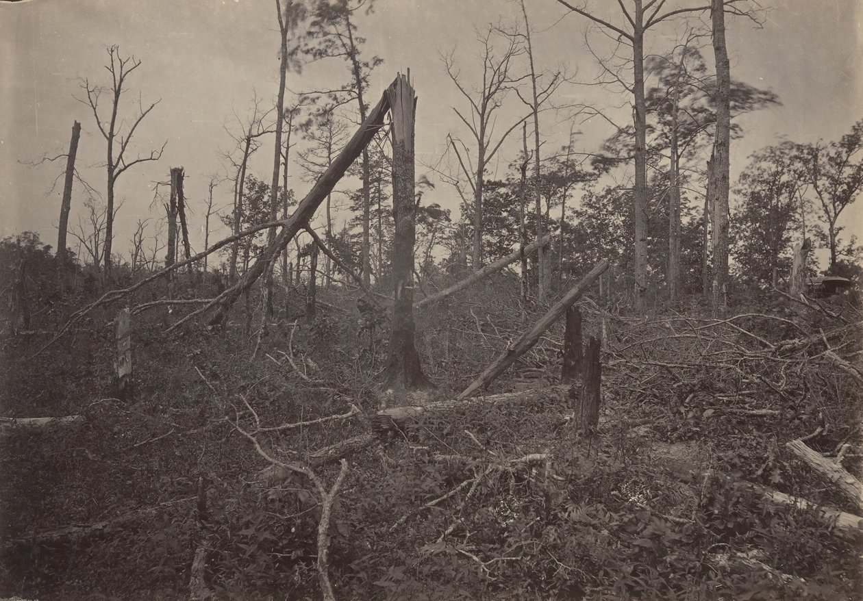 The Hell Hole New Hope Church, Georgia, 1860-as évek. alkotó: George N. Barnard