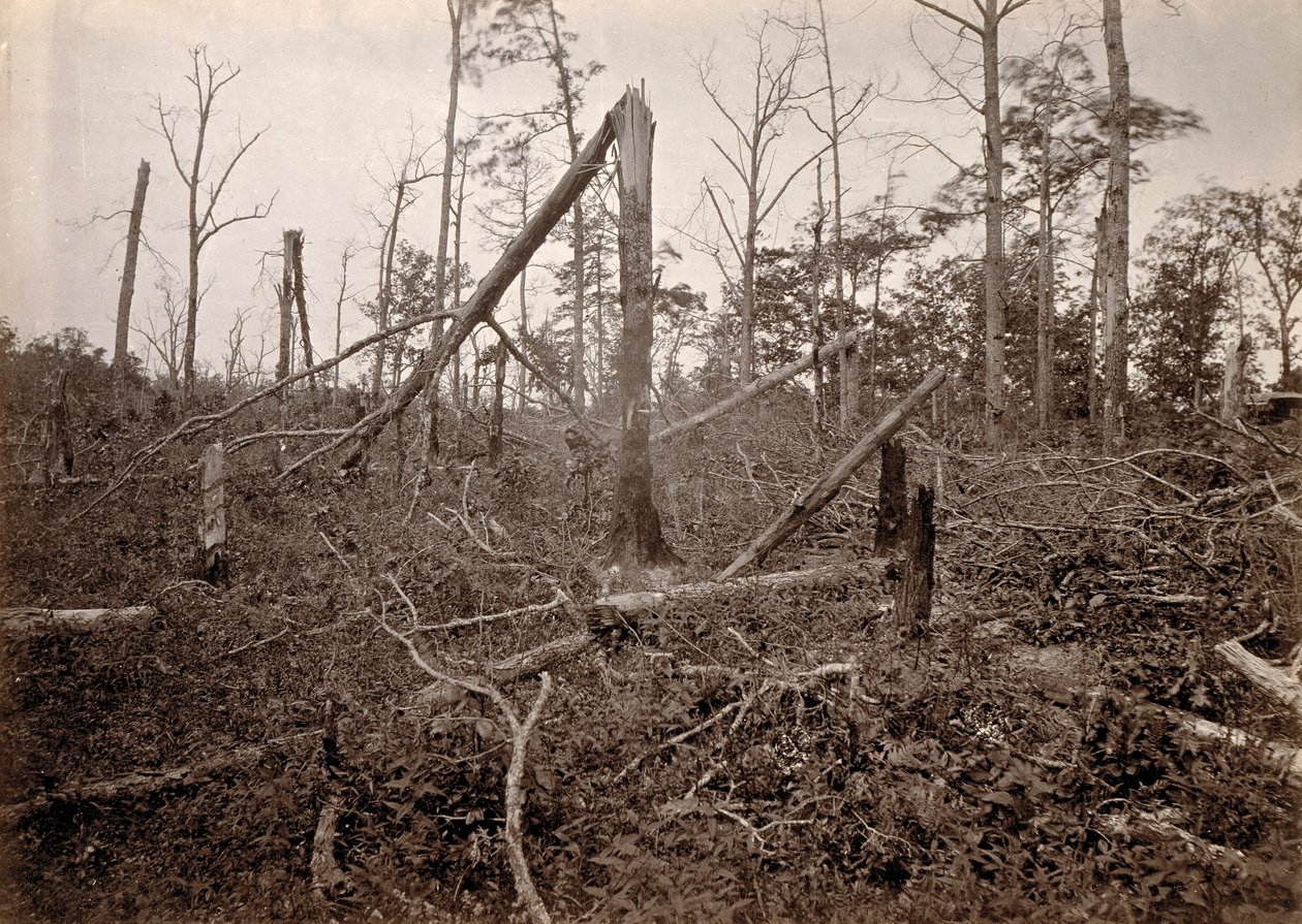 A "pokollyuk", New Hope Church, Georgia, a Sherman hadjáratának fényképészeti nézeteiből, 27. tábla alkotó: George N. Barnard