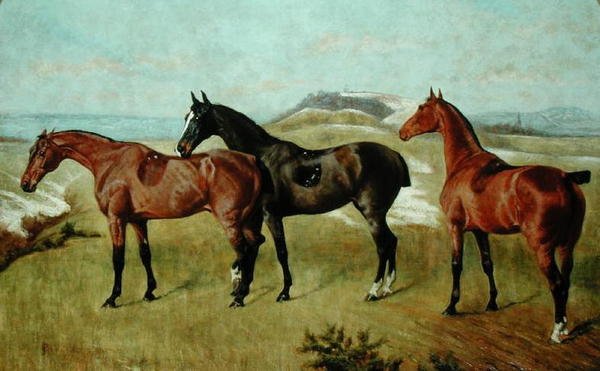 Három ló: whissendine, fecske és tiptop alkotó: George Paice