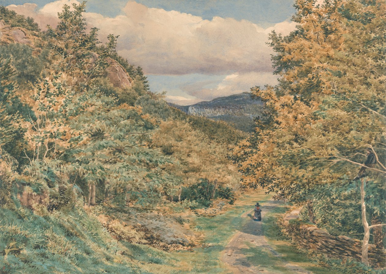 Egy út Bettws-y-Coed közelében alkotó: George Price Boyce