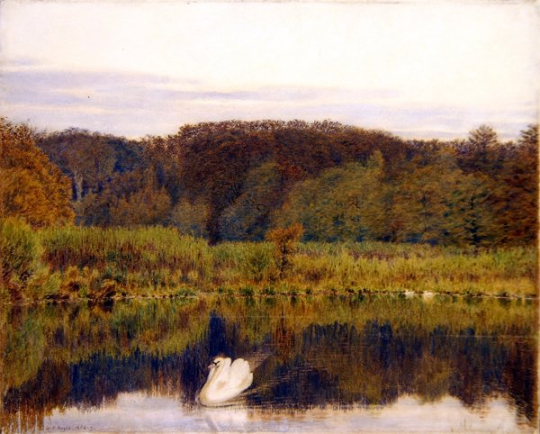 Abinger Mill Pond, Surrey – Reggel késő ősszel (akvarell papíron) alkotó: George Price Boyce