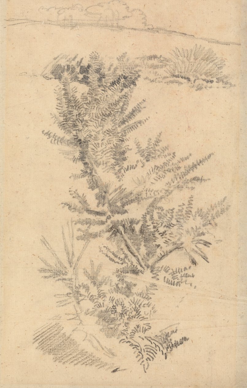 Fák tanulmányozása stb. egy réten alkotó: George Richmond