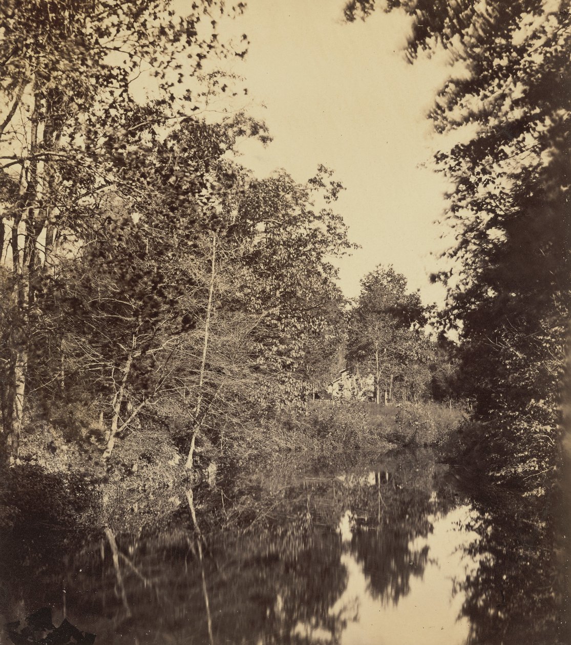 The Dell,1863 (fotó) alkotó: George Rockwood Gardner