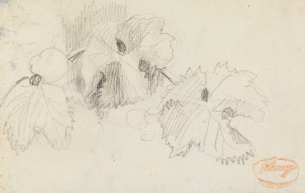 A levelek vizsgálata 1 alkotó: George Romney