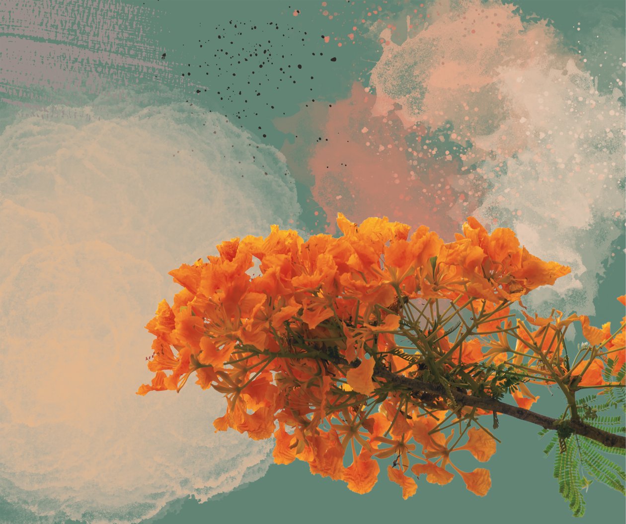 Royal Poinciana „El Flamboyan” (digitális) alkotó: George Rosaly
