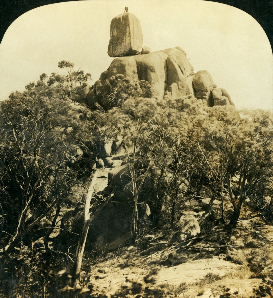 The Look-Out Rock, Buffalo Ranges, Victoria, Ausztrália, 1909. alkotó: George Rose
