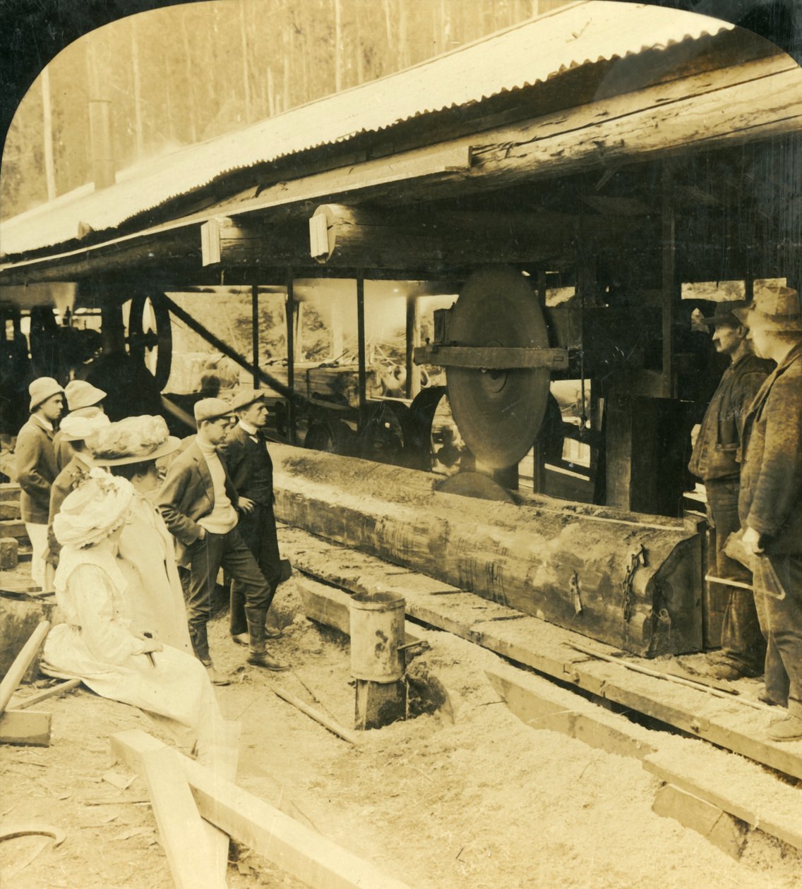 The Timber Industry, Warburton, Victoria, Ausztrália, 1909. alkotó: George Rose