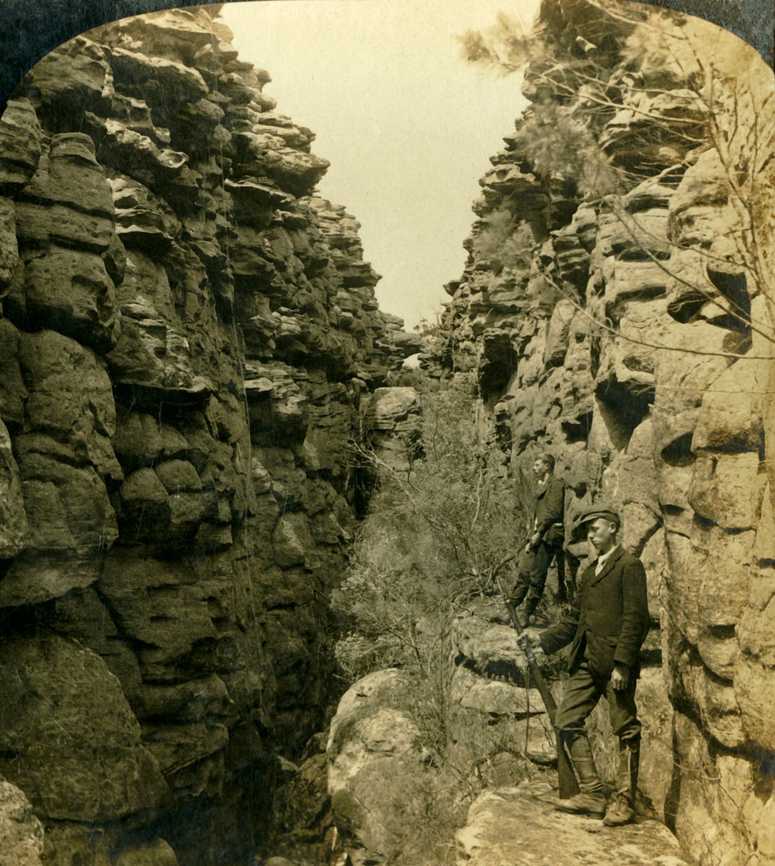 Wonderland Avenue, vagy a Silent Street, Grampians, Victoria, Ausztrália, 1908. alkotó: George Rose