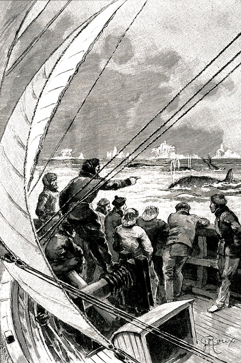 Tengeren a sark felé: egy hajó (vitorlás) legénysége bálnacsoportot lát. Illusztráció Jules Verne (1828-1905) „A jégszfinx” című regényéből alkotó: George Roux