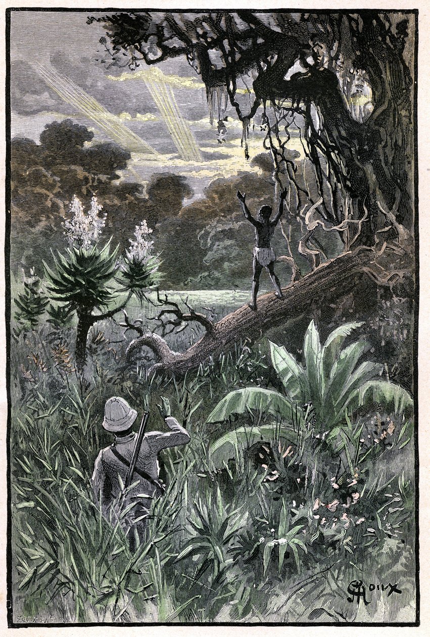 George Roux illusztrációja Jules Verne "The Aerien Village" (1901) című könyvéhez, Hetzel-kiadás/Extraordinary Voyages, Known and Unknown Worlds (Rendkívüli utazások, ismert és ismeretlen világok). Egy afrikai erdő látványa (Kongó). alkotó: George Roux