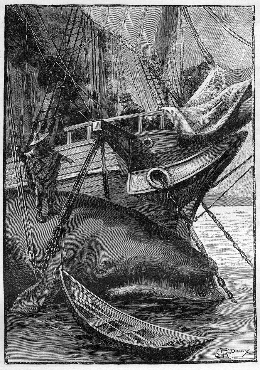 Jules Verne "Les histoires de Jean-Marie Cabidoulin" (1901) című regénye, Hetzel Collection/Extraordiaires, George Roux illusztrációja. "Bálna kikötve a bálnavadászhajóhoz" alkotó: George Roux