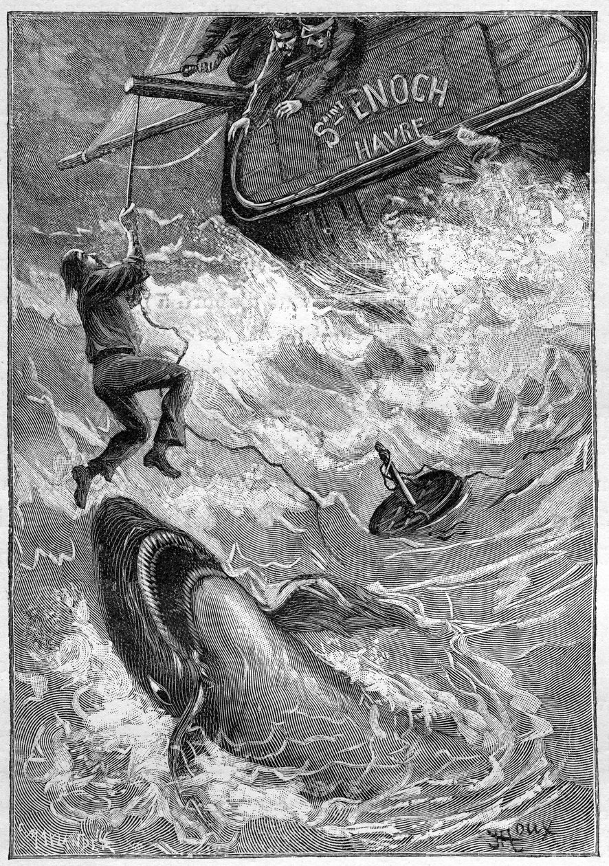 Jules Verne "Les histoires de Jean-Marie Cabidoulin" (1901) című regénye, Hetzel Collection/Extraordiaires, George Roux illusztrációja. "Tengeri jelenet: cápa által megtámadott tengerész a Csendes-óceánban" alkotó: George Roux
