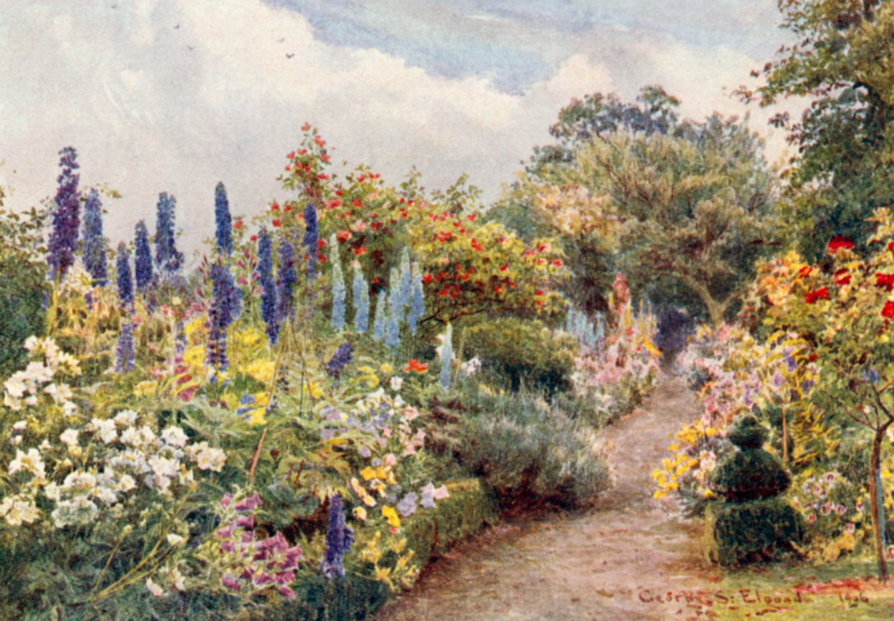 Larkspurs (színes litográfia) alkotó: George Samuel Elgood