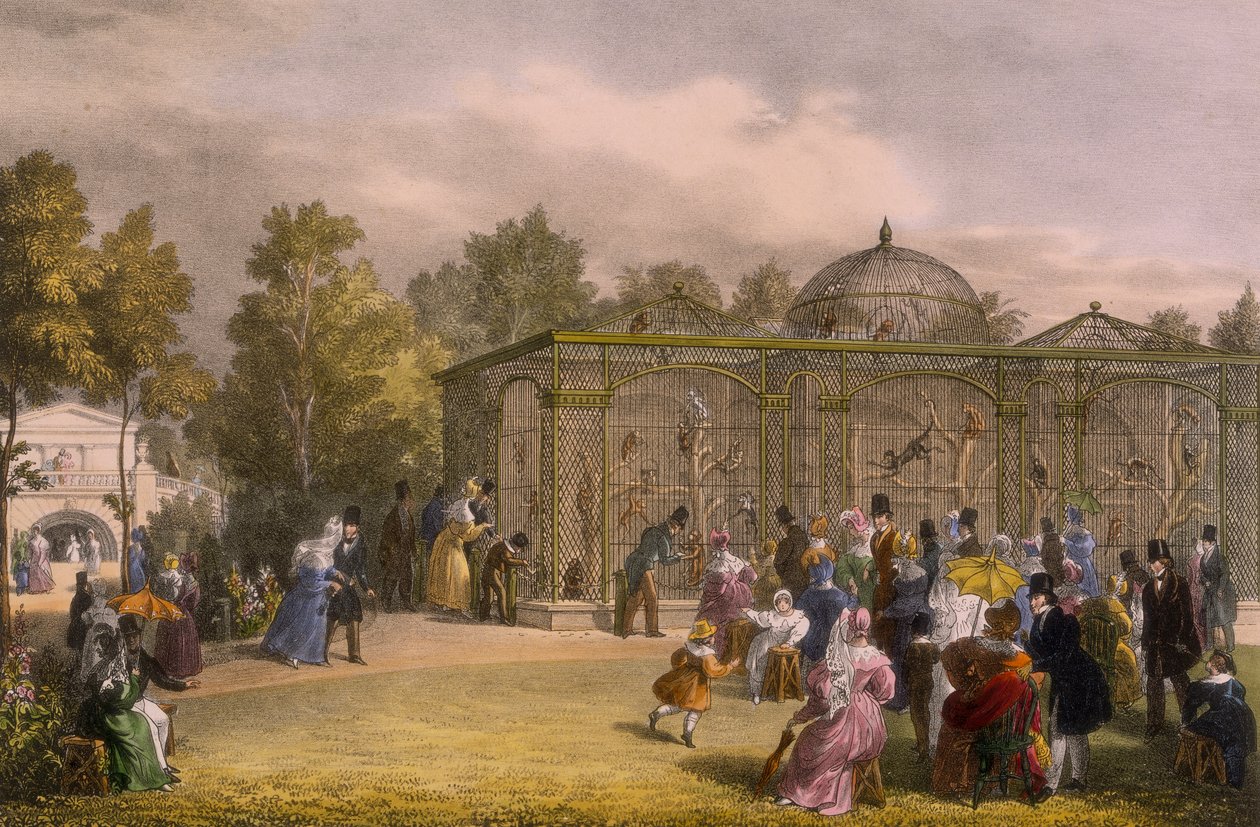A Monkey House a Zoological Gardens-ben, Regent