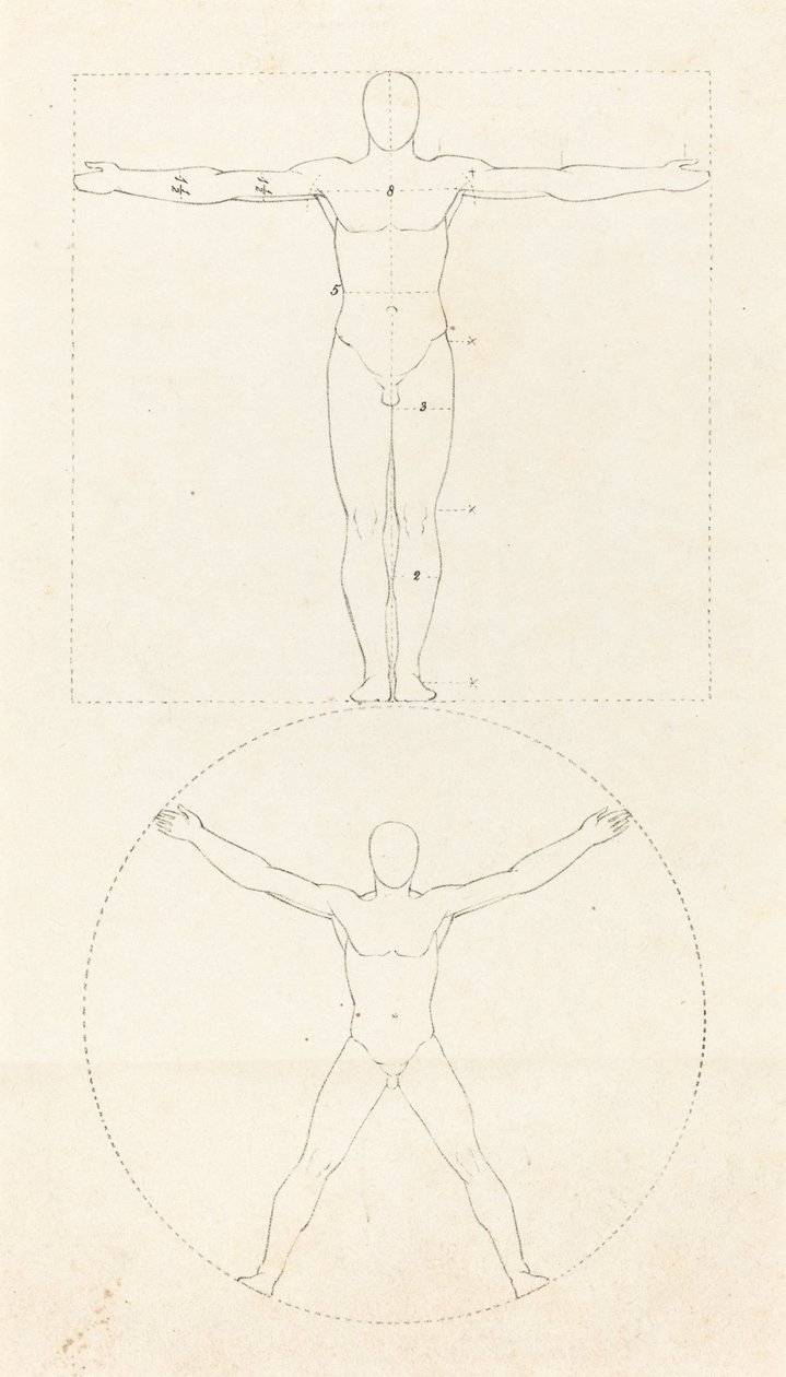 Az emberi alak köre és négyzete alkotó: George Scharf after John Flaxman
